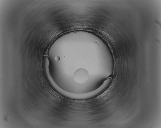 X0000097771257200804041144