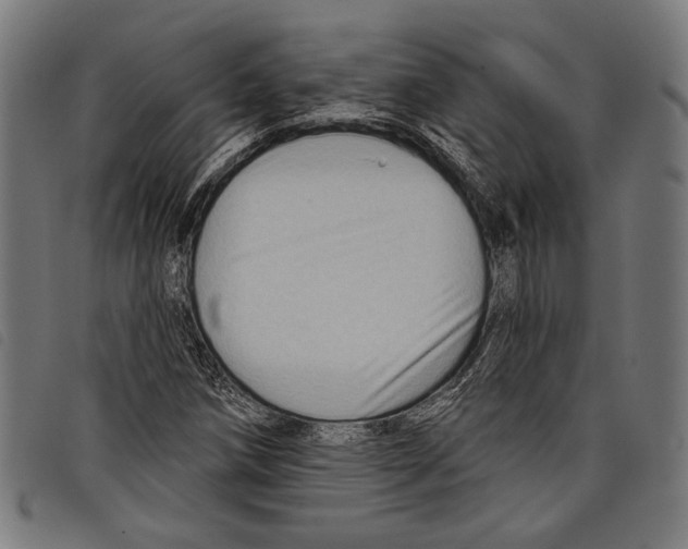 X0000097771258200804041144