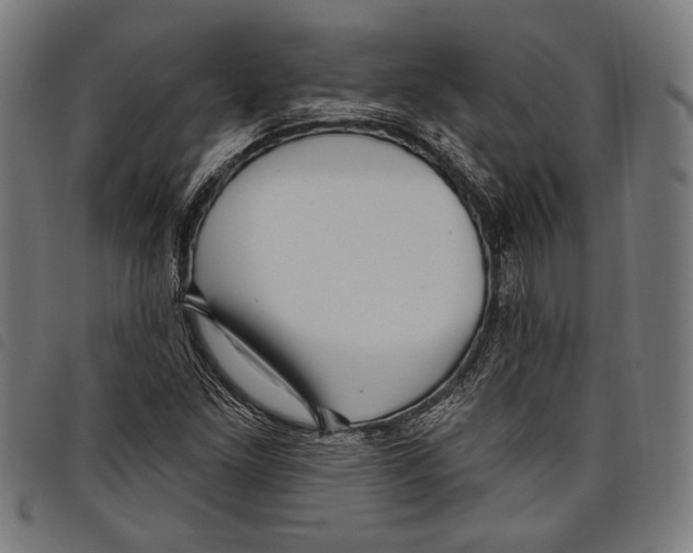 X0000097771261200804041144
