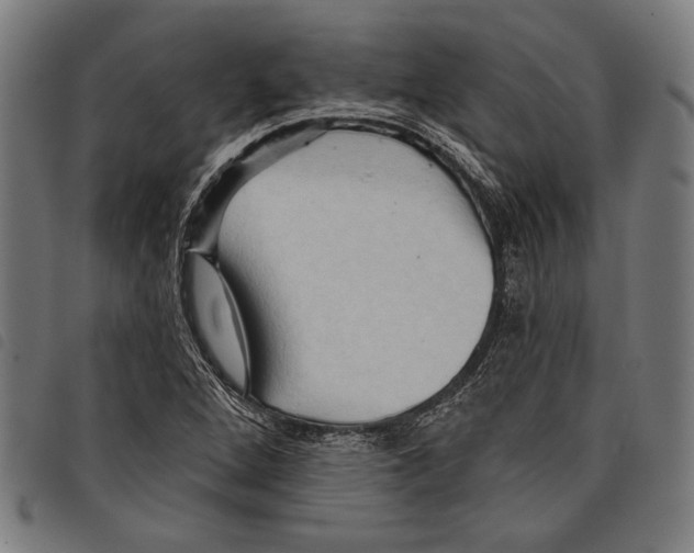 X0000097771264200804041144
