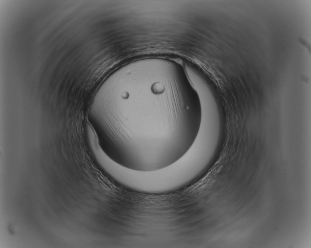 X0000097771265200804041144