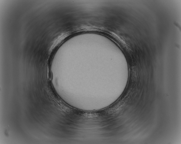 X0000097771269200804041144