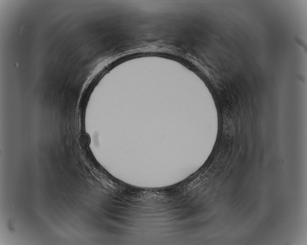 X0000097771270200804041144