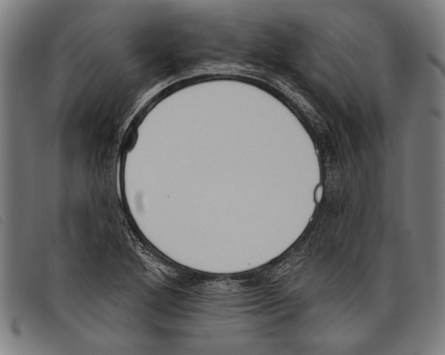X0000097771272200804041144