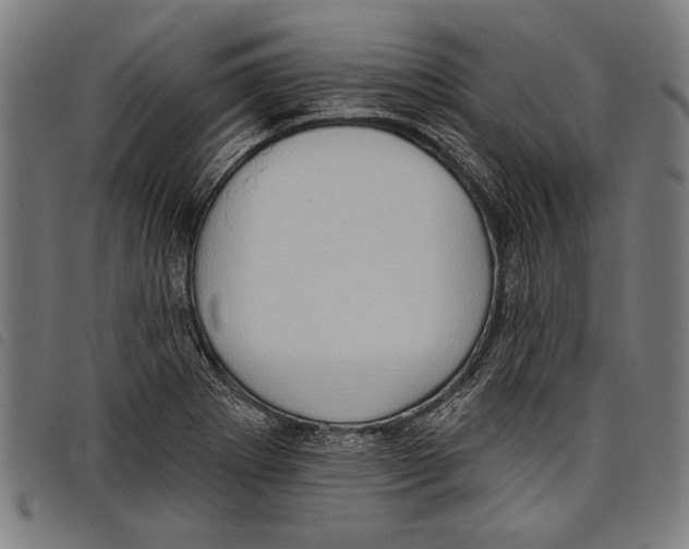 X0000097771273200804041144