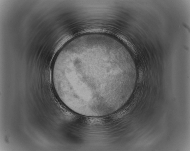 X0000097771274200804041144