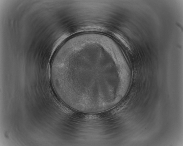 X0000097771275200804041144