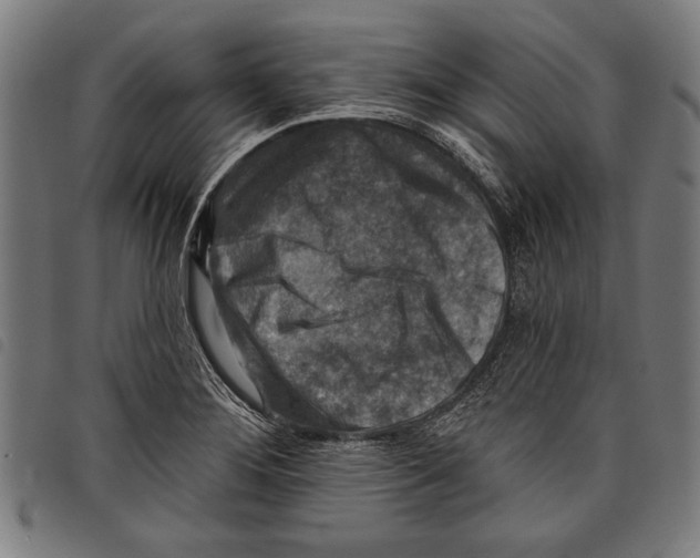 X0000097771276200804041144