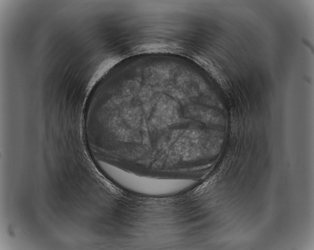 X0000097771277200804041144