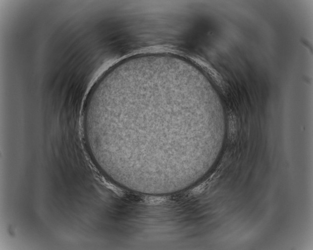 X0000097771278200804041144