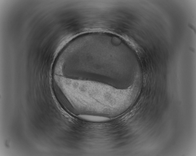 X0000097771279200804041144