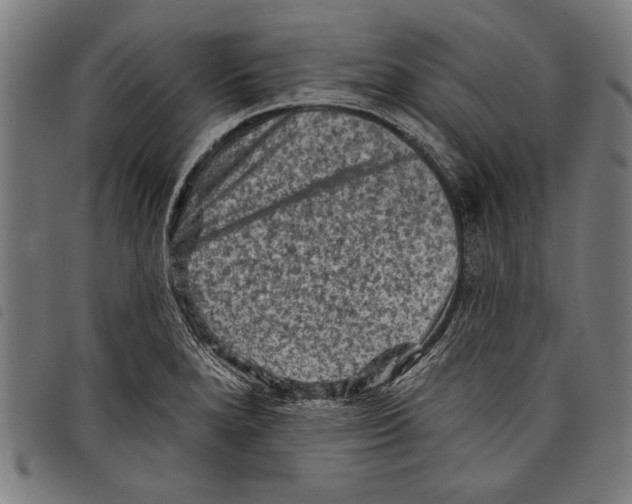 X0000097771280200804041144