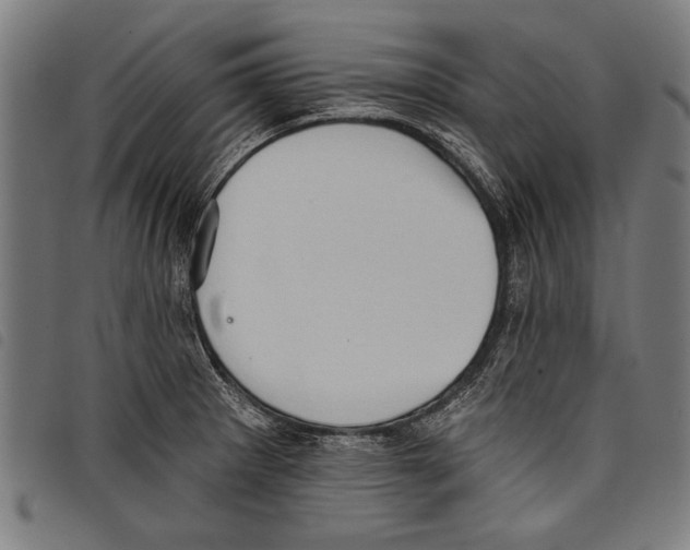 X0000097771281200804041144