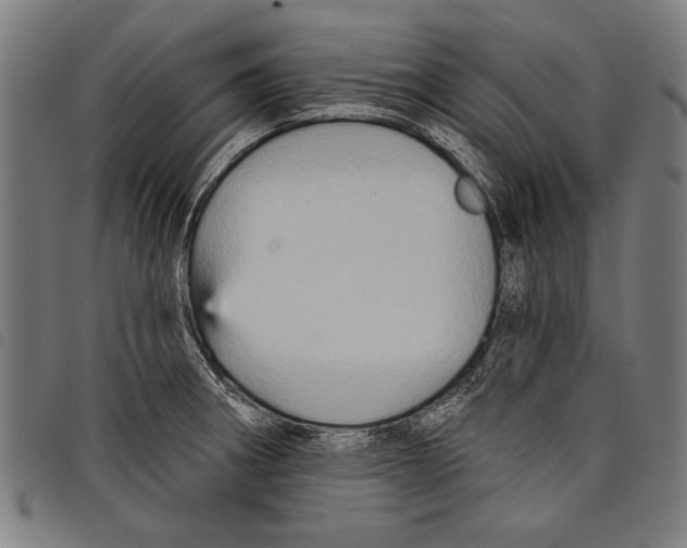 X0000097771282200804041144