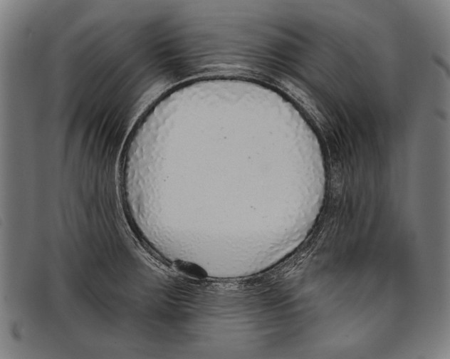 X0000097771283200804041144