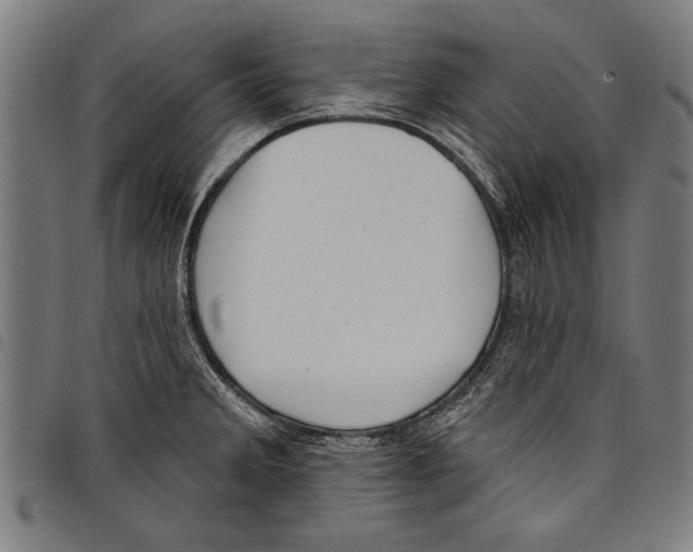 X0000097771285200804041144