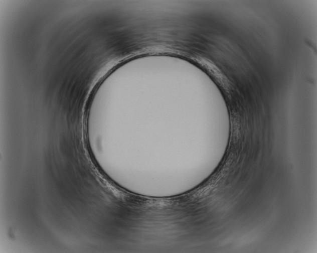 X0000097771286200804041144