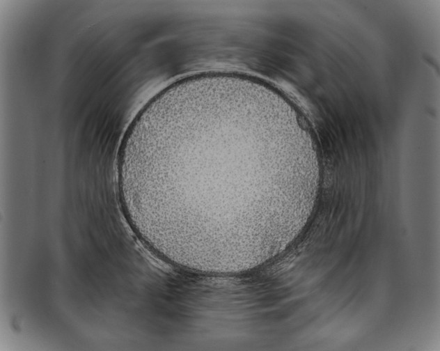 X0000097771287200804041144