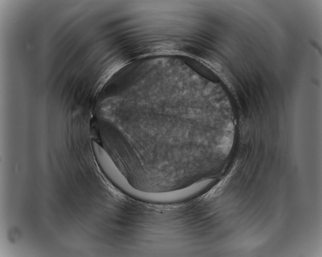 X0000097771289200804041144