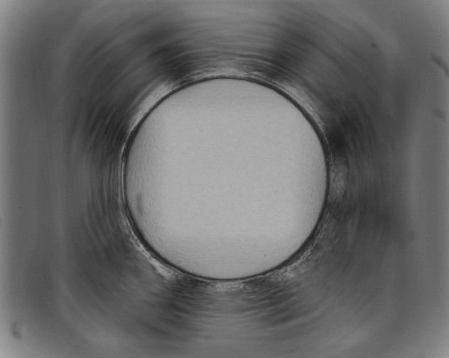 X0000097771290200804041144