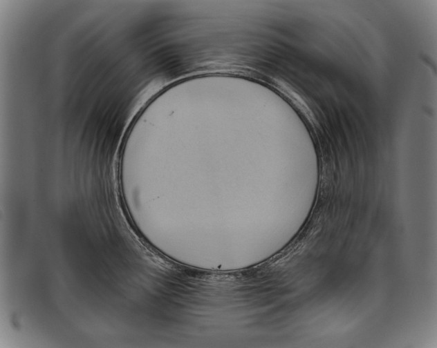 X0000097771291200804041144