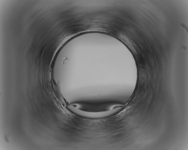 X0000097771292200804041144
