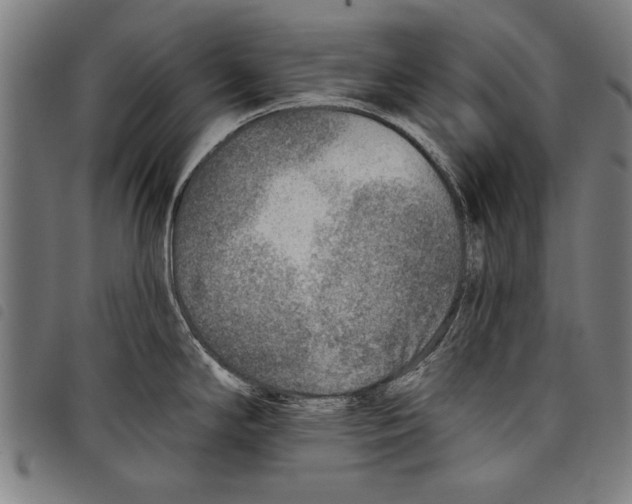 X0000097771294200804041144