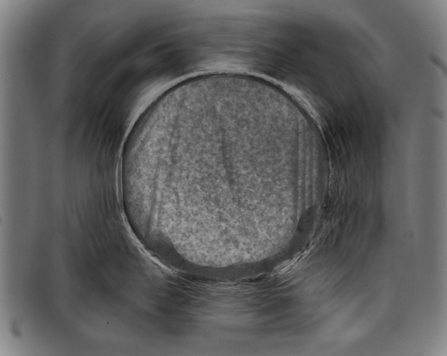 X0000097771295200804041144