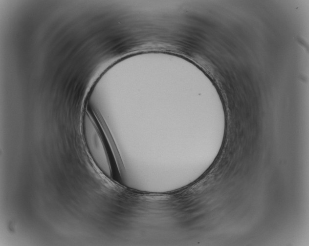 X0000097771296200804041144