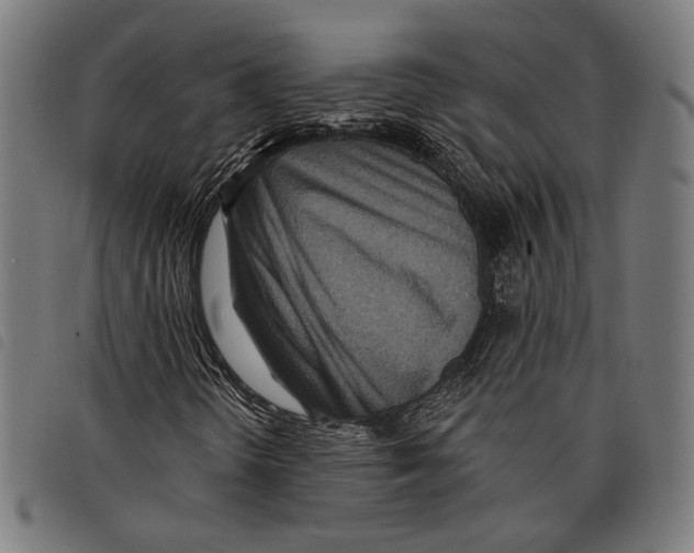 X0000097771298200804041143