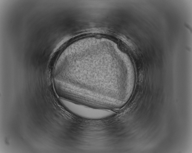 X0000097771310200804041143
