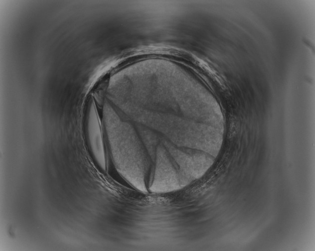X0000097771312200804041143