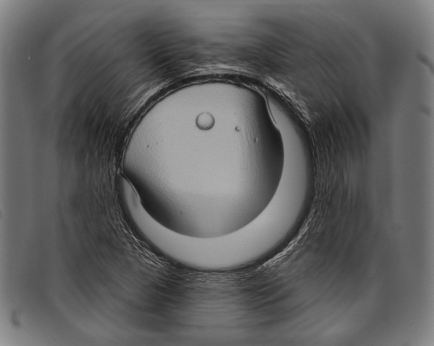 X0000097771313200804041143