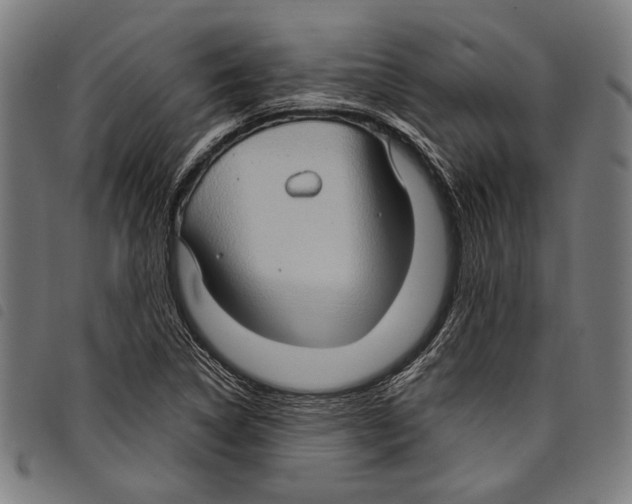 X0000097771314200804041143