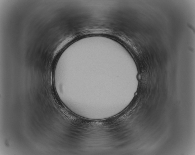 X0000097771317200804041144