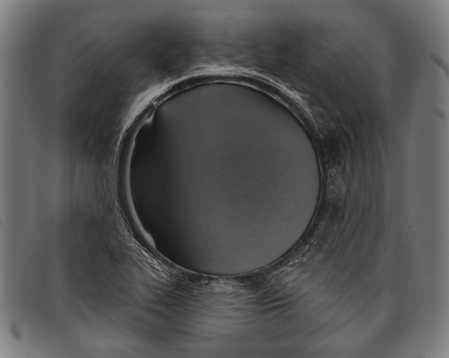 X0000097771319200804041144