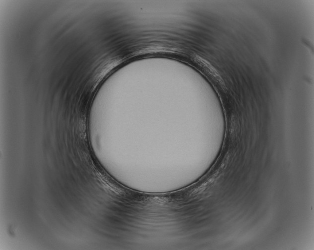 X0000097771321200804041144