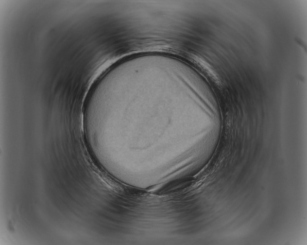 X0000097771324200804041144