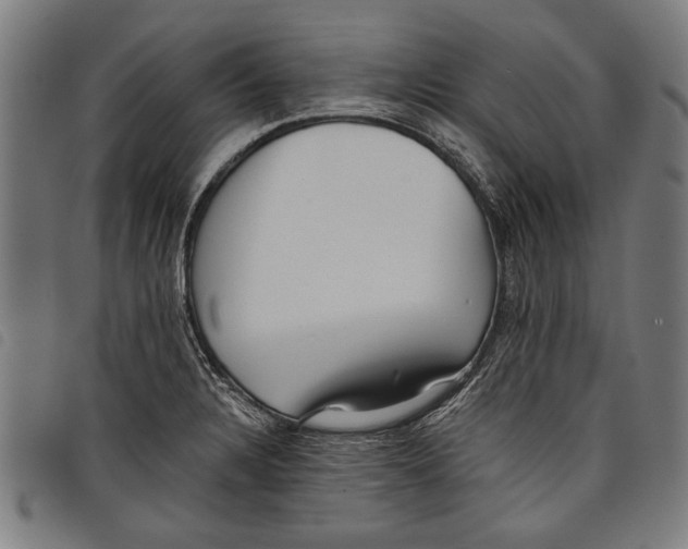 X0000097771328200804041144