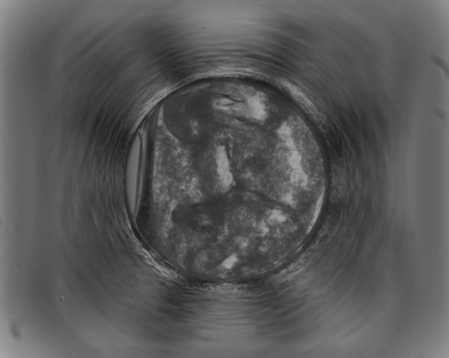 X0000097771329200804041144