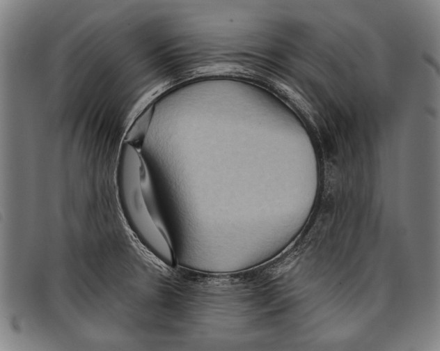 X0000097771330200804041144