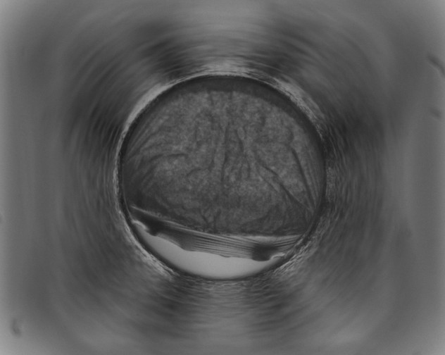 X0000097771331200804041144