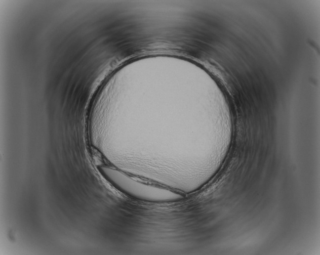 X0000097771333200804041144