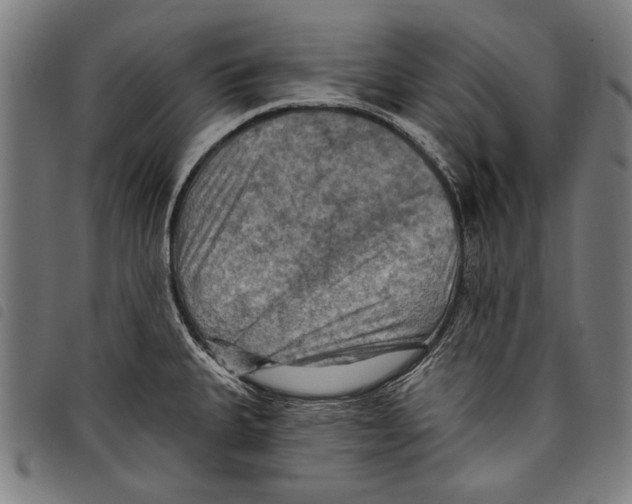 X0000097771335200804041144