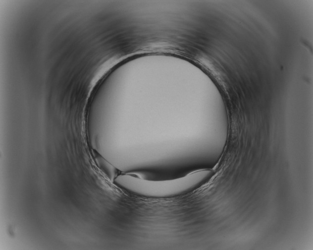 X0000097771336200804041144
