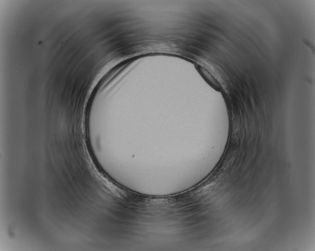 X0000097771339200804041144