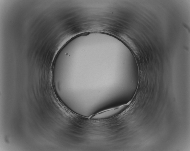 X0000097771340200804041144