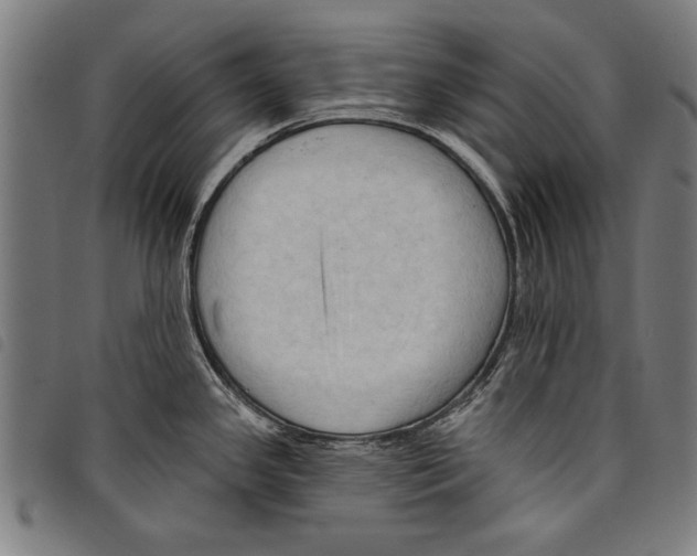 X0000097771341200804041144