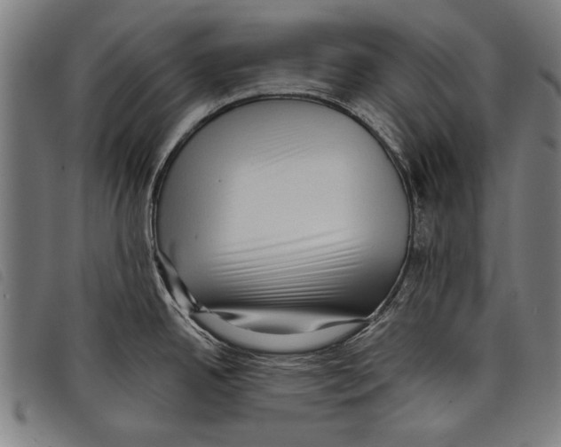 X0000097771342200804041144