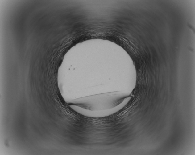 X0000097771345200804041143